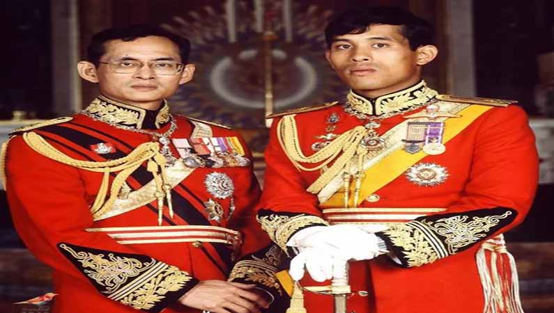 磨煤機磨輥 磨煤機磨輥